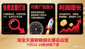淘宝天猫精细化爆品运营11月22-24杭州线下课,免费流量打法+付费广告放大+利润增长(音频+文档)-数智网创