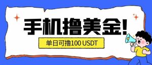 最新手机撸美金项目,单日产值100U+,2026年最新的风口项目-数智网创