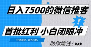 日入7500的微信推客,首批红利,自用省钱、分享赚钱,0门槛小白闭眼冲!-数智网创