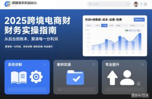 2025跨境电商财务实操指南,从后台到账本,算清每一分利润,系统讲解-案例实操-专业提升-数智网创