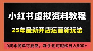小红书虚拟资料项目：最新搜索流变现玩法，0成本简单可复制，一人多店打法，新手日入800+-数智网创