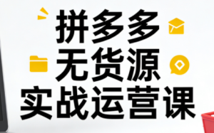 子枫老师·拼多多无货源实战运营课(更新12月)-数智网创