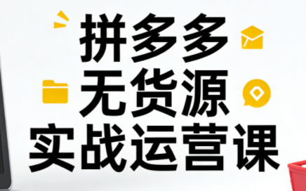 子枫老师·拼多多无货源实战运营课(更新12月)-数智网创