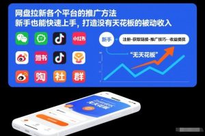 网盘拉新各个平台的推广方法，新手也能快速上手，打造没有天花板的被动收入-数智网创