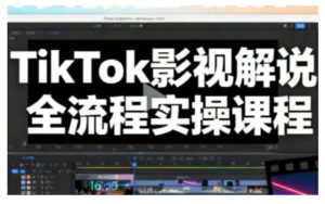 TikTok影视解说全流程实操，手把手教你打造TK爆款解说视频-数智网创