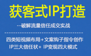 获客型IP打造,破解流量信任成,四类短视频布局+文案钩子指令创作IP三大信任状+IP变现四大模式-数智网创