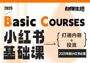 自媒生路小红书基础课,打通内容+投流,2025年起小红书必备-数智网创