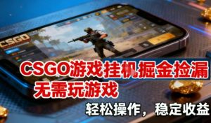 CSGO游戏挂G掘金捡漏,不需要玩游戏,操作简单,收益稳定【揭秘】-数智网创