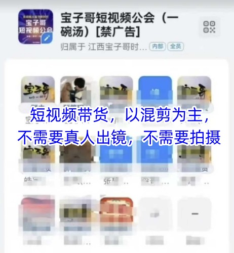 宝子哥头部团队短视频带货，以混剪为主，不需要真人出镜，不需要拍摄【更新11月】-数智网创