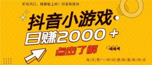 5年爆火的抖音小游戏项目，一部手机日入2000+-数智网创