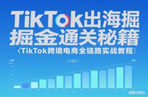 TikTok出海掘金通关秘籍,TikTok跨境电商全链路实战教程-数智网创