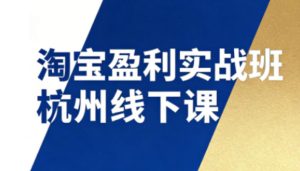 淘宝盈利实战班杭州线下课12月26-28日(音频+字幕)，帮你掌握SOP流程+12门核心技术-数智网创