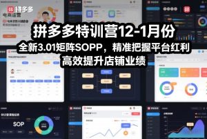 拼多多特训营12-1月份，全新3.01矩阵Sop，精准把握平台红利，高效提升店铺业绩-数智网创