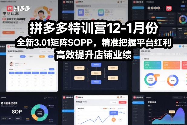 拼多多特训营12-1月份，全新3.01矩阵Sop，精准把握平台红利，高效提升店铺业绩-数智网创