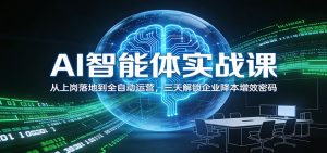 AI智能体实战课:从上岗落地到全自动运营,三天解锁企业降本增效密码-数智网创