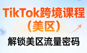 TikTok跨境课程(美区)-数智网创