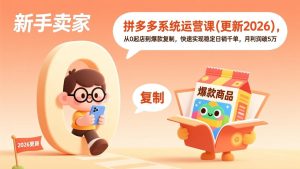 拼多多系统运营课(更新2026-数智网创