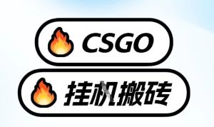 真全网独家CSGO挂G,最新玩法,单日捡漏1K+,不用电脑,不用打游戏【揭秘】-数智网创