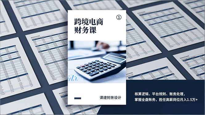 跨境电商财务课,核算逻辑、平台规则、账务处理,掌握全盘账务,胜任高薪岗位月入1.5万+-数智网创