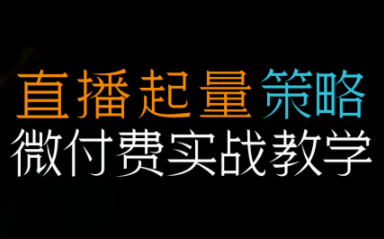 半野老师·直播带货起量与微付费必学课视频号(更新2026)-数智网创
