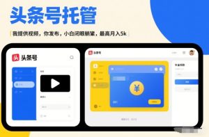 头条号AI托管，我提供视频，你发布，小白闭眼躺賺，最高月入5k+【揭秘】-数智网创