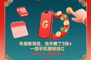 年底新项目，当天賺了3张+，一部手机搬砖挂G，5分钟上手，保姆级教程【揭秘】-数智网创