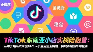 TikTok东南亚小店实战陪跑营:从零开始系统掌握TikTok小店运营全链路,实现稳定出单与盈利-数智网创