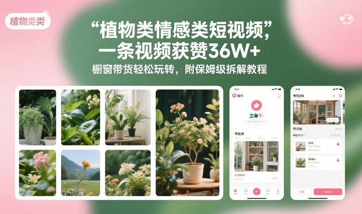 植物类情感类短视频，一条视频获赞36W+，橱窗带货轻松玩转，附保姆级拆解教程-数智网创