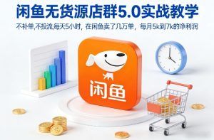 闲鱼无货源店群5.0实战教学，不补单，不投流，每天5小时，在闲鱼卖了几万单，每月5k到7k的净利润-数智网创