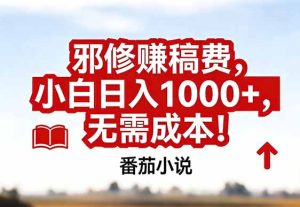 番茄小说赚稿费邪修玩法无需成本，真实日入1000+，超级简单！-数智网创