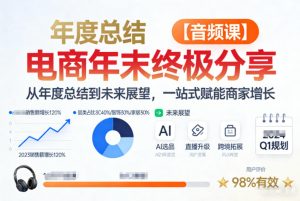 电商年未终极分享，从年度总结到未来展望，一站式赋能商家增长【音频课】-数智网创