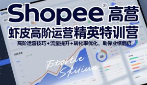 Shopee虾皮高阶运营精英特训营，高阶运营技巧+流量提升+转化率优化，助你业绩翻倍-数智网创