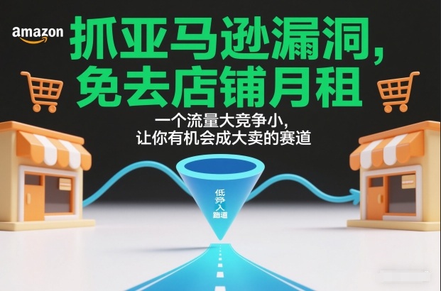 抓亚马逊漏洞，免去店铺月租，一个流量大竞争小，让你有机会成大卖的赛道-数智网创
