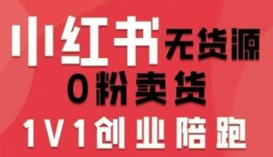 小红书无货源0粉电商课，开店准备、选品策略、笔记撰写、视频剪辑、数据分析、账号打造、资料文档(更新)-数智网创