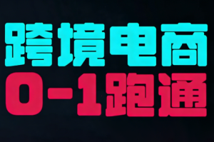 东南亚TikTok小店运营实操-数智网创