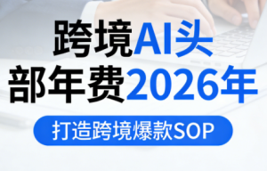 跨境AI头部年费2026年，打造跨境爆款SOP-数智网创