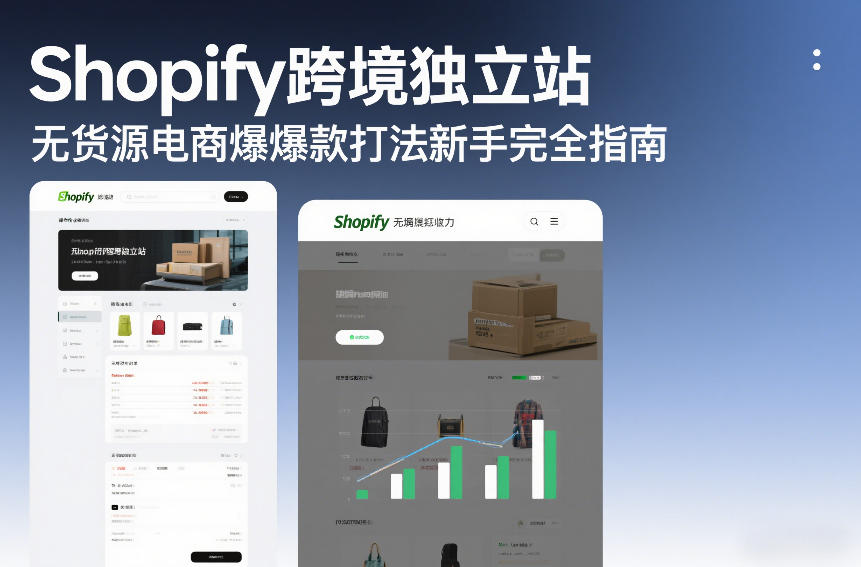 Shopify跨境独立站无货源电商爆款打法新手完全指南-数智网创