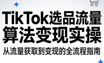 TikTok选品流量算法变现实操-数智网创