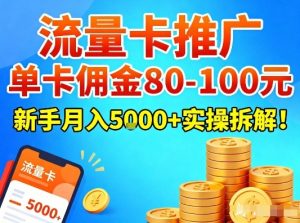 流量卡推广，单卡佣金80-100，新手月入5k+实操拆解！-数智网创