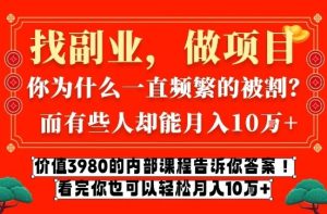 价值3980的网创内部课程，告诉你互联网创业月入10个W的秘密【揭秘】-数智网创