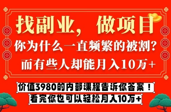 价值3980的网创内部课程，告诉你互联网创业月入10个W的秘密【揭秘】-数智网创