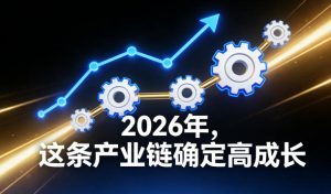 付费文章：2026年，这条产业链确定高成长-数智网创