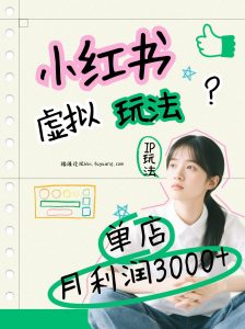 小红书虚拟玩法(铺货流和单品玩法),单店月利润3000+,IP打法+原创商品(0违规)-数智网创