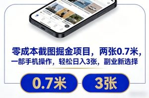 零成本截图掘金项目，两张0.7米，一部手机操作，轻松日入3张，副业新选择【揭秘】-数智网创