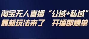 淘宝无人直播完整教程，公试+私域，最新玩法来了，开播即爆单-数智网创