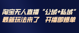 淘宝无人直播最新玩法，包含私域和公域两种玩法-数智网创