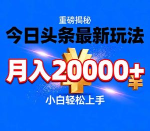 今日头条代运营最新玩法，轻轻松松月入20000＋-数智网创