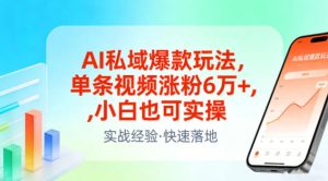 AI私域爆款玩法，单条视频涨粉6W+，小白也可实操-数智网创
