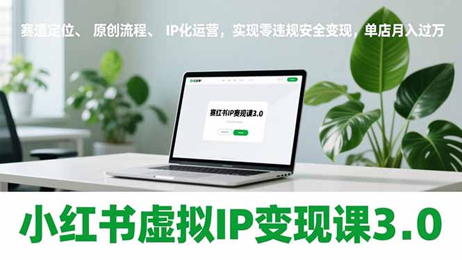 小红书虚拟IP变现课3.0,赛道定位、原创流程、IP化运营,实现零违规安全变现,单店月入过万-数智网创