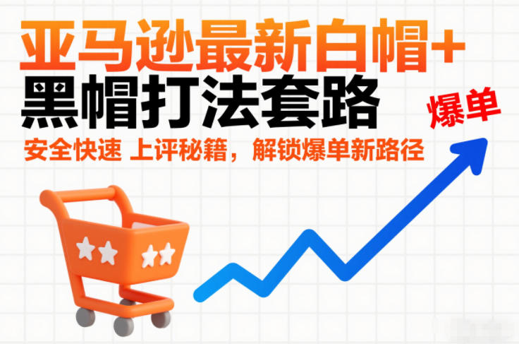 亚马逊最新白帽+黑帽打法套路，安全快速上评秘籍，解锁爆单新路径-数智网创